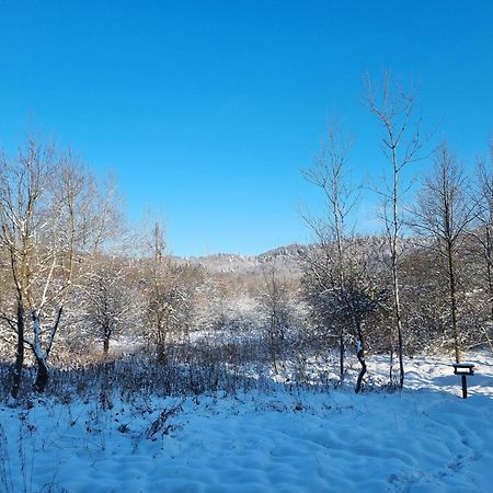 Apartament Wyspianski Sanok Luaran gambar